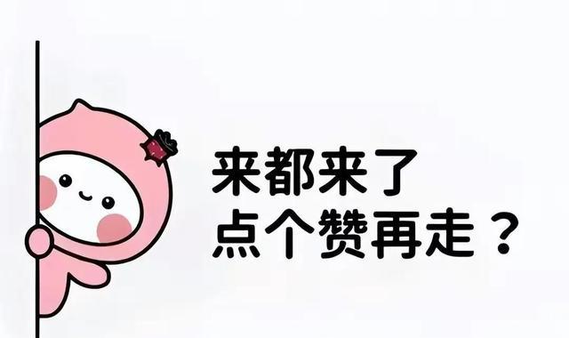 标签与栏目示例